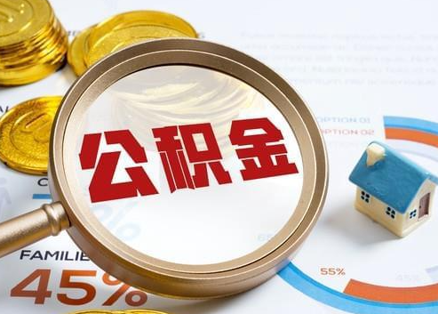 河池2025年政策调整对个人影响综合解析‌